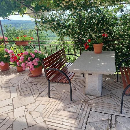 Apartment Fabris Roč Εξωτερικό φωτογραφία