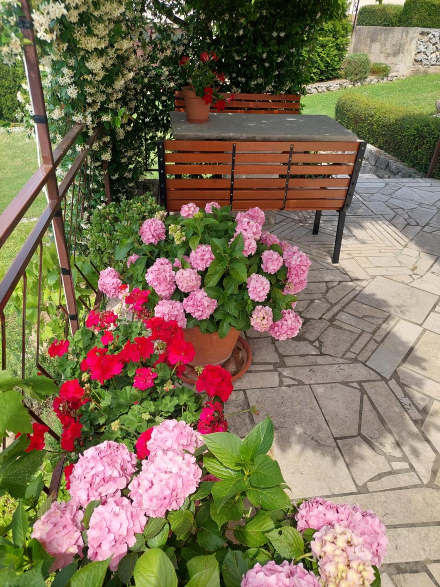Apartment Fabris Roč Εξωτερικό φωτογραφία