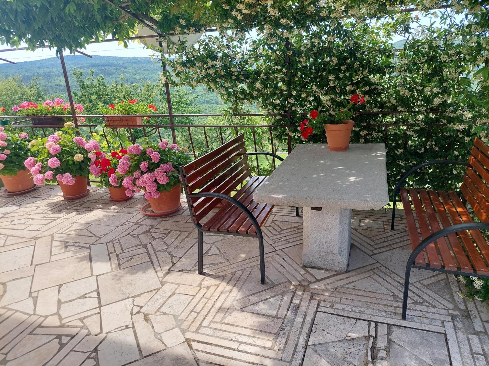 Apartment Fabris Roč Εξωτερικό φωτογραφία