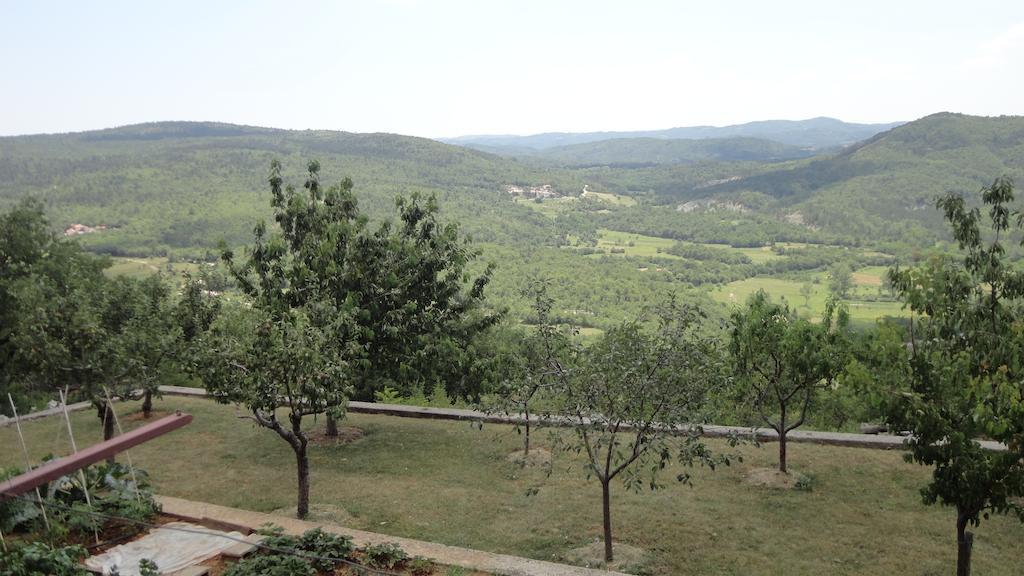 Apartment Fabris Roč Δωμάτιο φωτογραφία