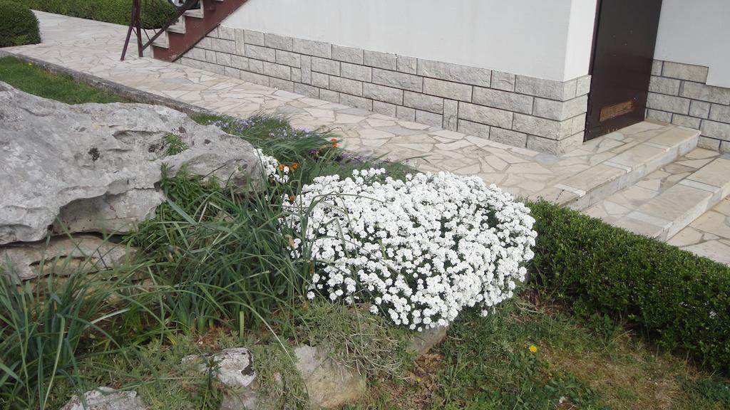 Apartment Fabris Roč Δωμάτιο φωτογραφία